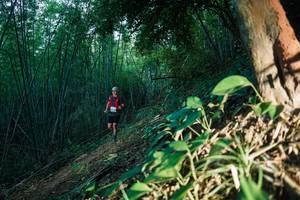 BIB: 
                            <button type="button" onclick="openModal(28124198)" class="btn btn-primary btn-sm float-right btn-popup" data-toggle="modal" data-target=".modal-high-quality">
                        <i class="fas fa-shopping-cart"></i> Add to Cart
                    </button>
                                            <button type="button" onclick="isThisMe(28124198, true)" class="btn btn-success btn-sm float-right btn-popup btn-isme hidden" data-toggle="tooltip" data-placement="bottom" title="นี่คือรูปของคุณใช่ไหม คลิกที่นี่เพื่อเอาเข้าอัลบั้ม">
                        <i class="fas fa-plus"></i> Add to album
                    </button>
                    <button type="button" onclick="isThisMe(28124198, false)" class="btn btn-warning btn-sm float-right btn-popup btn-isnotme hidden">
                        <i class="fas fa-ban"></i> Remove from album
                    </button>